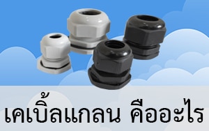 Read more about the article เคเบิ้ลแกลน คืออะไร ใช้ทำอะไรได้บ้าง